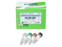 Bioneer AccuRapid Cell-Free Protein Expression Kit (24 reactions)