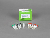 Bioneer AccuRapid Midi Protein Expression kit (5 reactions)