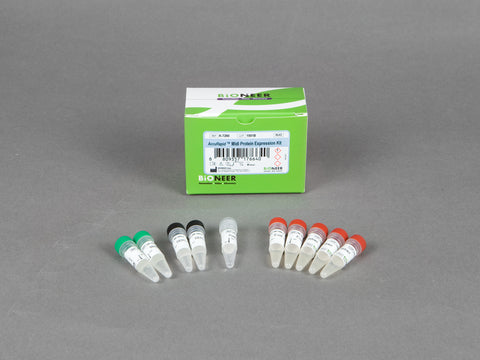 Bioneer AccuRapid Midi Protein Expression kit (5 reactions)