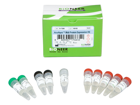 Bioneer AccuRapid Midi Protein Expression kit (5 reactions)