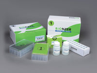 Bioneer ExiProgen EC-Maxi Protein Synthesis Kit (8 reactions)