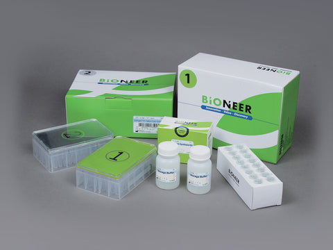 Bioneer ExiProgen EC-Tagfree Protein Synthesis Kit (8 reactions)