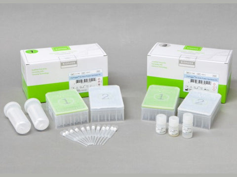 Bioneer ExiProgen EC-Bulk Protein Synthesis Kit