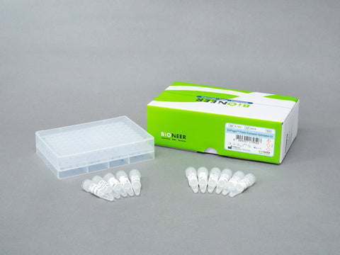 Bioneer ExiProgen Protein Expression Optimization Kit