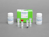 Bioneer MagListo Protein G Kit