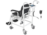 Kern Chair Scale MCC 250K100M - MSE Supplies LLC