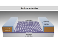 MSE PRO Graphene Field-Effect Transistors (GFETs) for Sensing Applications, Die Size 4mm x 4mm