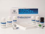 MEK(Methionine-Enkephalin) ELISA Kit