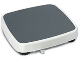 Kern Personal Floor Scale MPC 250K100M - MSE Supplies LLC