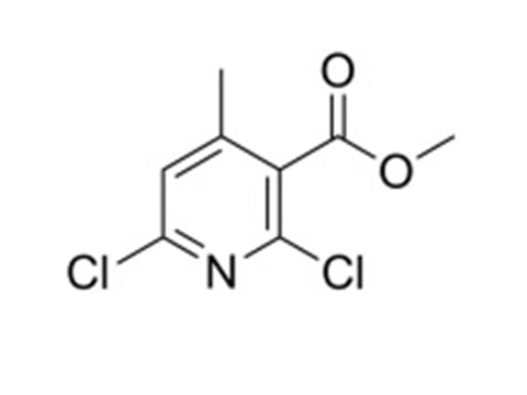 MSE PRO Methyl 2,6-dichloro-4-methylnicotinate