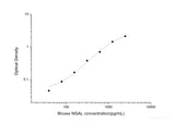 Mouse NGAL(Neutrophil Gelatinase Associated Lipocalin) ELISA Kit