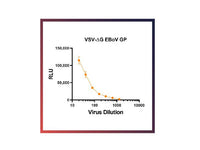 IBT Bioservices RVSV-Pseudotyped Ebola Virus GP (RVSV-EBOV-GP)