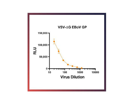 IBT Bioservices RVSV-Pseudotyped Ebola Virus GP (RVSV-EBOV-GP)