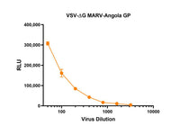 IBT Bioservices RVSV Pseudotyped Marburg Virus GP (Angola Strain)