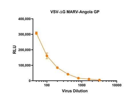 IBT Bioservices RVSV Pseudotyped Marburg Virus GP (Angola Strain)