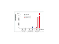 IBT Bioservices SARS-COV-2, Virus Like Particles (Wild Type)