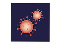 IBT Bioservices Middle Eastern Respiratory Syndrome Corona Virus 2 (MERS-COV-2) Virus Like Particle, Wild Type