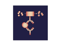 IBT Bioservices Sudan Virus Soluble GP (SGP) Elisa Kit 