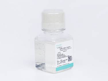 0.25% Trypsin Solution (dissolved in PBS)