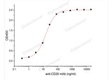 Recombinant Human/Cynomolgus CD28/TP44 (N-His)