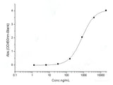 Recombinant SARS-CoV-2 Spike S1+S2 ECD (D614G)(His Tag)