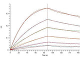 Recombinant SARS-CoV-2 Spike RBD Protein (C-His Tag)(Omicron)