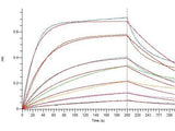 Recombinant SARS-CoV-2 Spike RBD Protein (C-His Tag)(Omicron)