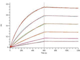 Recombinant SARS-CoV-2 S1+S2 Trimer Protein (C-His Tag)(Omicron)