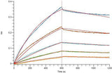 Recombinant SARS-CoV-2 S1+S2 Trimer Protein (C-His Tag)(Omicron)