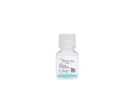 Penicillin-Streptomycin-Amphotericin B Solution (100×)
