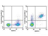 Purified Anti-Mouse CD16/32 Antibody[2.4G2]