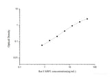 Rat FABP1(Fatty Acid Binding Protein 1, Liver) ELISA Kit