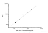 Rat CASP3 (Caspase 3) CLIA Kit
