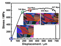 In-Situ Electron Backscatter Diffraction (EBSD) Analytical Service