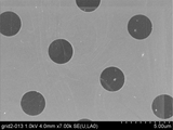 MSE PRO Suspended Monolayer Graphene Film on TEM Grids - Pack 4 units