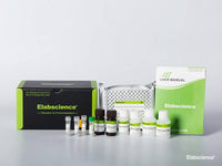 Mouse ET-1 (Endothelin 1) CLIA Kit