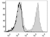 PE/Cyanine5 Anti-Mouse CD19 Antibody[1D3] - MSE Supplies LLC