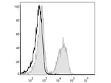 PE Anti-Mouse CD19 Antibody[1D3] - MSE Supplies LLC