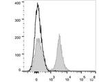 PE/Cyanine7 Anti-Mouse CD19 Antibody[1D3] - MSE Supplies LLC