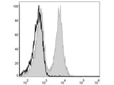 FITC Anti-Mouse CD19 Antibody[1D3] - MSE Supplies LLC