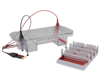 MSE PRO High-Throughput Horizontal Electrophoresis Cell