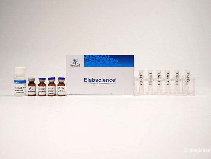 Chromogenic Biotin Labeling Kit (10 Kd Filtration Tube)– Mse Supplies Llc