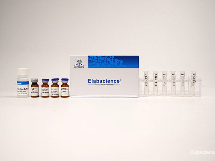 Chromogenic Biotin Labeling Kit (3 Kd Filtration Tube)– Mse Supplies Llc