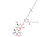 IBT Bioservices Lipoteichoic Acid (LTA) From Staphylococcus Aureus