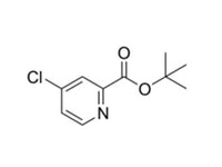 MSE PRO tert-Butyl 4-chloropicolinate