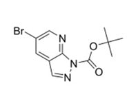 MSE PRO tert-Butyl 5-bromo-1H-pyrazolo[3,4-b]pyridine-1-carboxylate