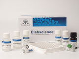 FA/VB9(Folic Acid/Vitamin B9) ELISA Kit - MSE Supplies LLC