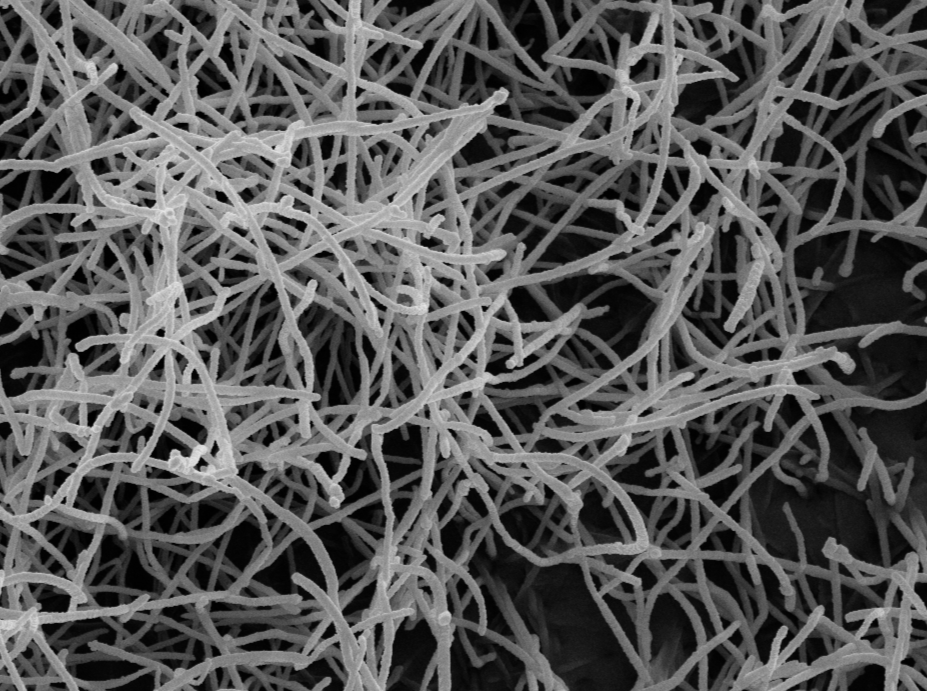 MSE PRO Carbon Nanotube Sponges for Battery and Supercapacitor Researc ...